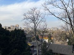 -华清宫景区