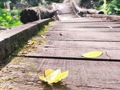 -云岫谷自然风景区