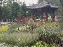 -西海子公园