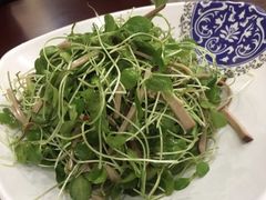 -力力豆花庄(广渠门店)