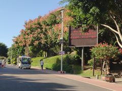 -仙岳公园