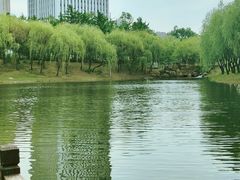 -长春公园(普阳街道)