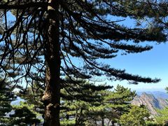 -黄山风景区
