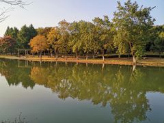 -白塘生态植物园