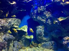 -福州罗源湾海洋世界旅游区