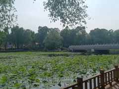 -长春市南湖公园