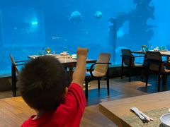 -海棠湾洲际-涛·海底餐厅·美人鱼·自助餐·海底隧道