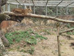 -宁波野生动物园