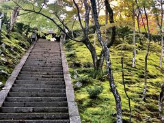 -常寂光寺