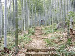 -山沟沟景区