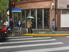 -WHEN PIGS FLY当猪飞