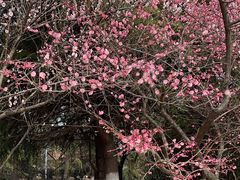 -白塘生态植物园