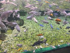 -常州海昌海洋探索馆