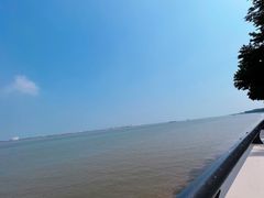 -大湾区中央湿地公园
