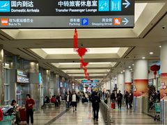 -厦门高崎国际机场-T3航站楼