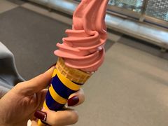 草莓雪芭-宜家·瑞典风味餐厅(海达南街店)