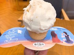 -野人先生现做冰淇淋(西安赛格店)