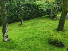 -西芳寺(苔寺)