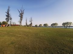 -漕湖湿地公园
