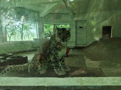 -青藏高原野生动物园