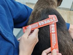 -拜鲁耶动物诊疗中心·宠家动物医院