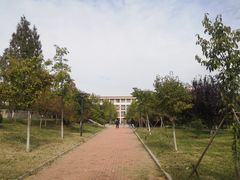 -山东外贸职业学院