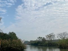 -大湾区中央湿地公园