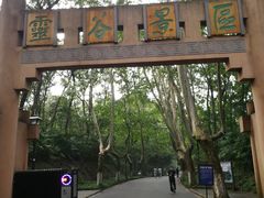 -灵谷景区