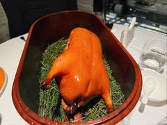-鹿园 MOOSE(长宁店)