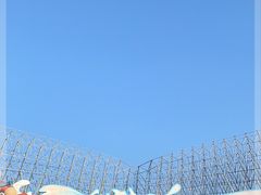 -海合安武汉极地海洋公园