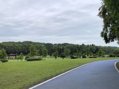-宜兴龙背山森林公园