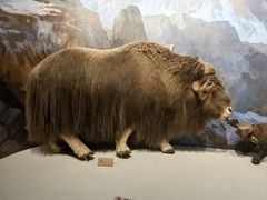 -陕西自然博物馆