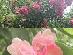 -大妙火锅·非物质文化遗产(东湖公园店)