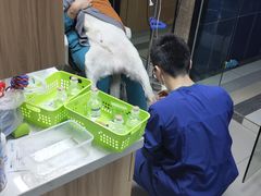 -联合动物医院(光谷诊疗中心)