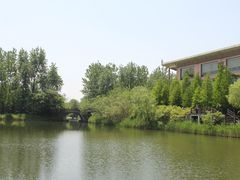 -溱湖国家湿地公园