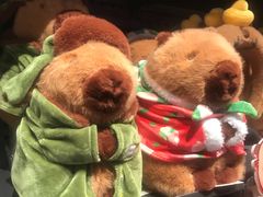 -酷乐潮玩(五道口购物中心店)