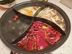 -朱光玉火锅馆(龙阳广场店)