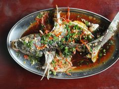 -龙姐私房菜(和顺古镇店)