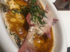 -陶缘一号·四季缘·老字号顺德菜·户外婚礼家宴(西滘店)