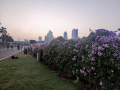 -南宁南湖公园