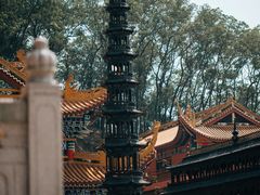 -东莞市大岭山森林公园