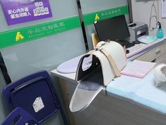 -半岛宠物医院24小时(科华中路店)