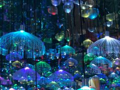 -天津梵高星空艺术馆(天河城旗舰店)