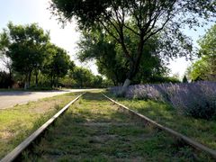 -永定河休闲森林公园