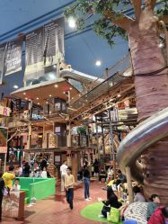 -卡通尼·Safari非洲探索乐园·生日会(金桥国际商业广场店)