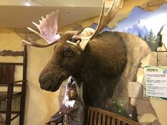 -信不信由你博物馆