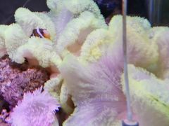 -泉州海丝野生动物世界