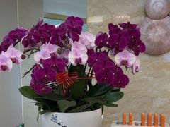 -佛山中大口腔医院·市二级口腔专科医院