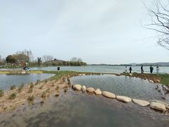 -渤公岛生态公园