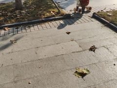 -泰州凤城河风景区-泰山公园